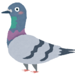 ベランダにやってくる鳩への効果があった対策