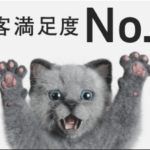 WiMAXからNURO光に乗り換えてみた